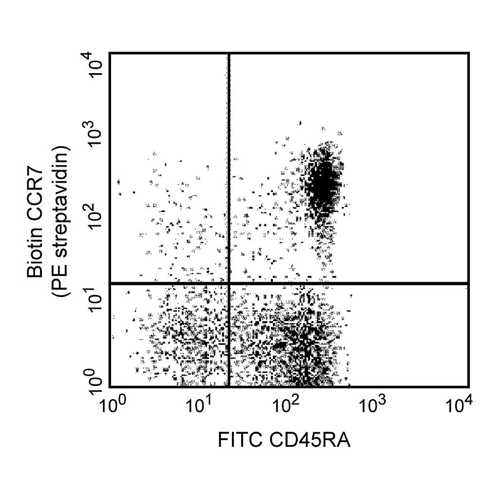 BD Biotin Rat Anti-Human CCR7 (CD197)