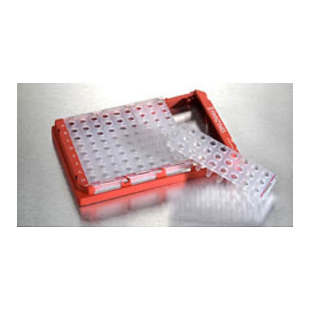Thermo Fisher Scientific Piko PCR Plate, 24-well, clear, 200 plates