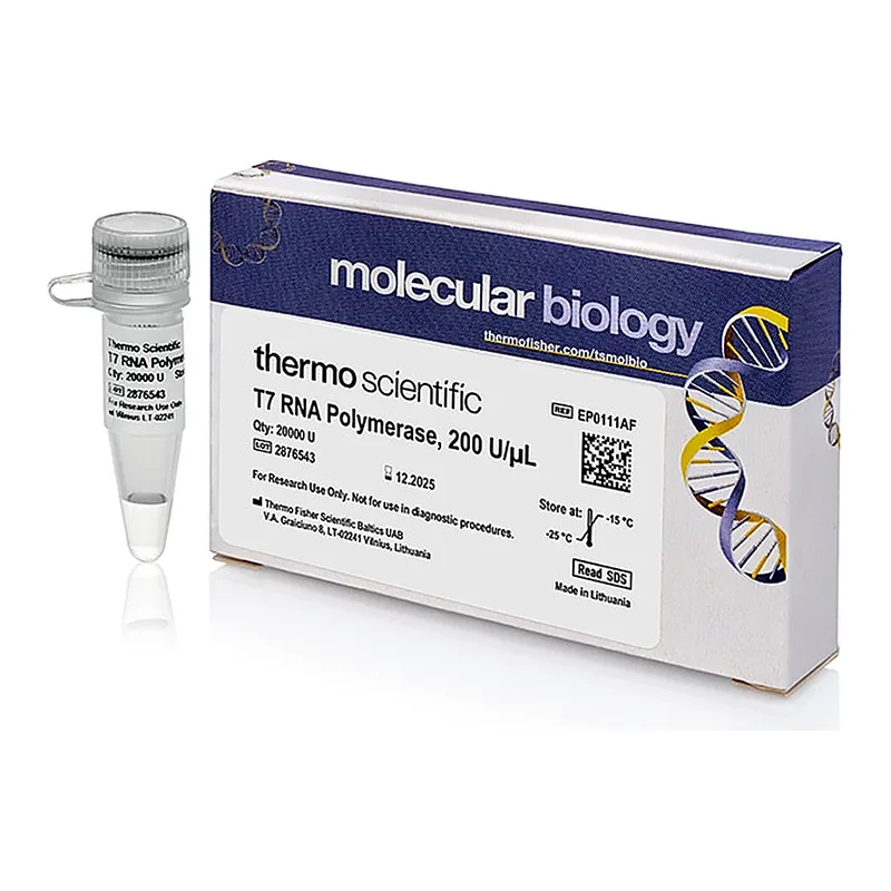 Thermo Fisher Scientific T7 RNA Polymerase (200 U/μL), 20,000 U