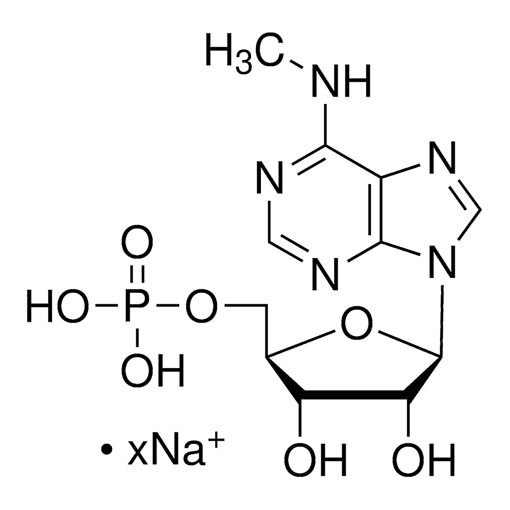 Merck N6-Methyladenosine 5'-monophosphate sodium salt