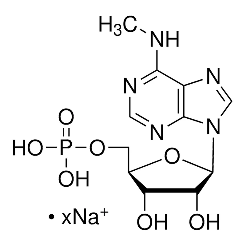 Merck N6-Methyladenosine 5'-monophosphate sodium salt