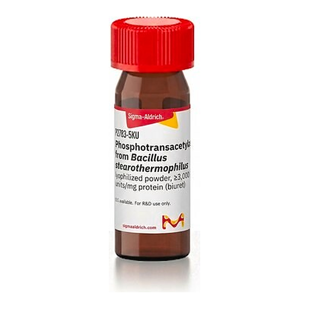 Merck Phosphotransacetylase from Bacillus stearothermophilus