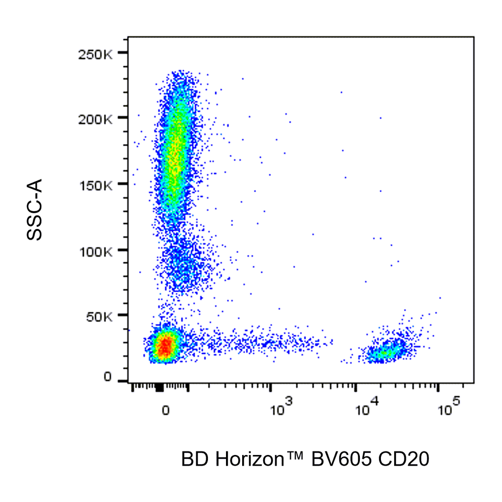 BD BV605 Mouse Anti-Human CD20