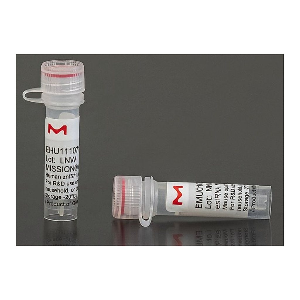 Merck MISSION(R) esiRNA