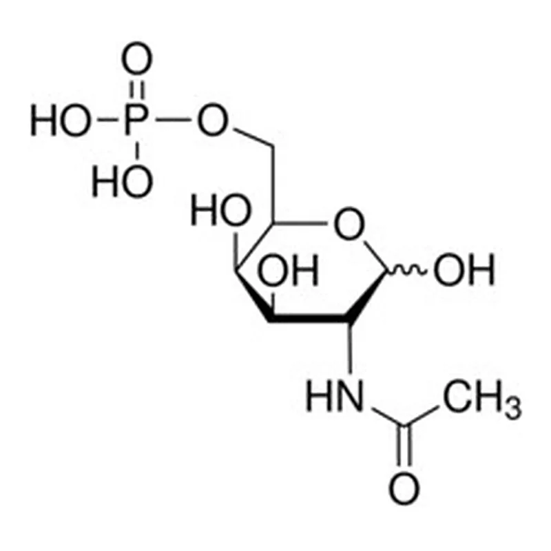 Merck N-ACETYL-D-GALACTOSAMINE-6-PHOSPHATE