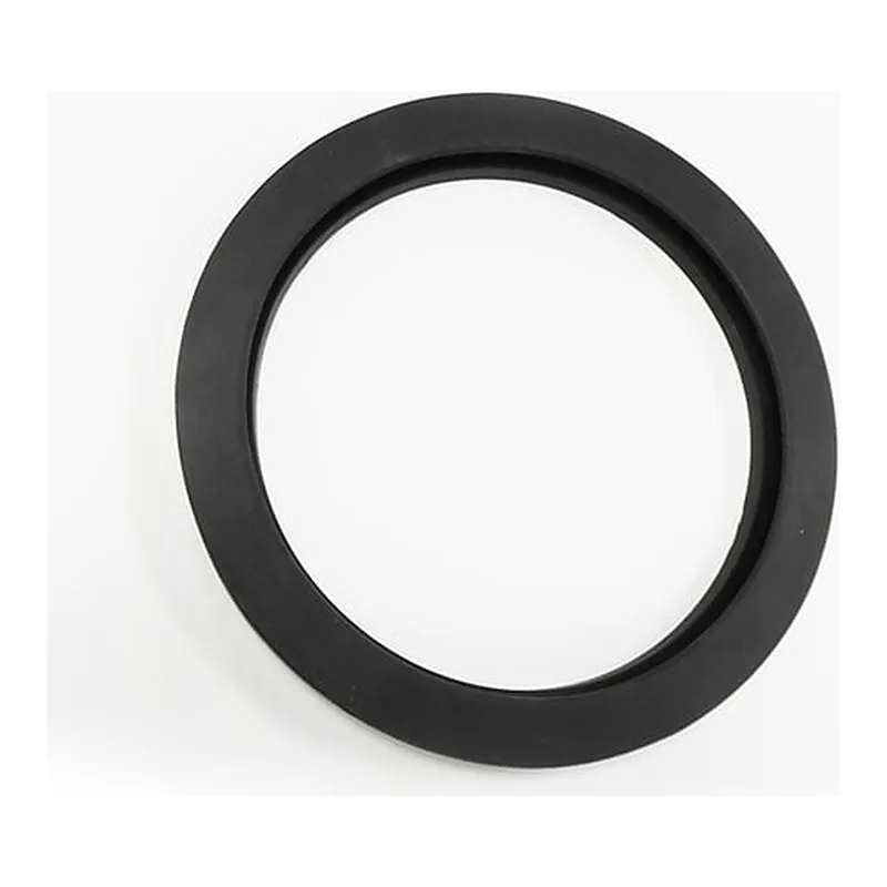 Thermo Fisher Scientific Freeze Dry Replacement Parts: Lid Gasket