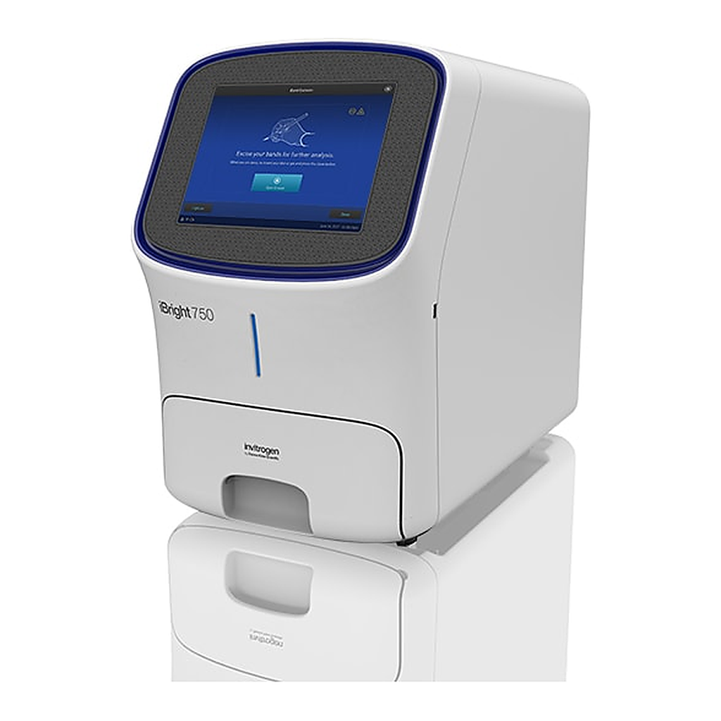 Thermo Fisher Scientific iBright CL750 Imaging System