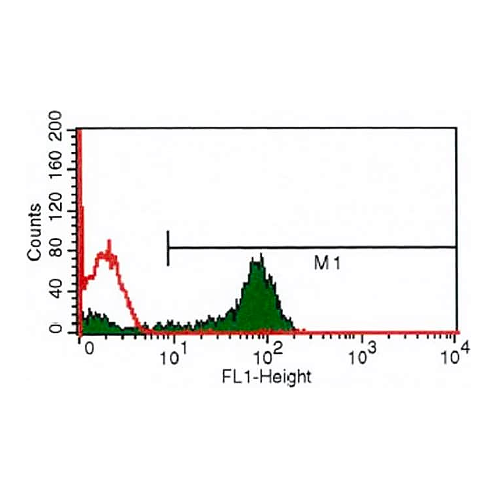 Merck Monoclonal Anti-CD3-FITC antibody produced in mouse