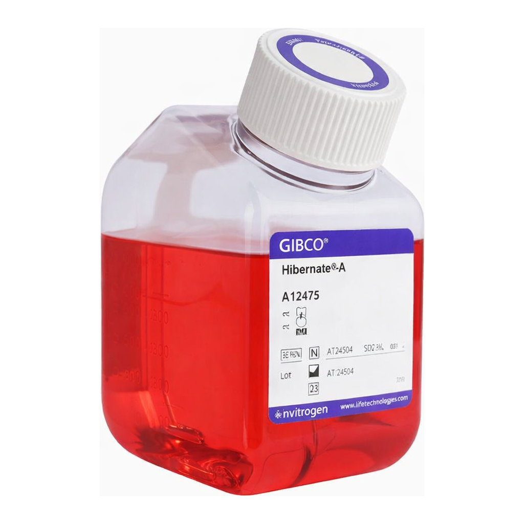 Thermo Fisher Scientific Hibernate-A Medium