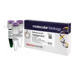 Thermo Fisher Scientific FastDigest Hin1II