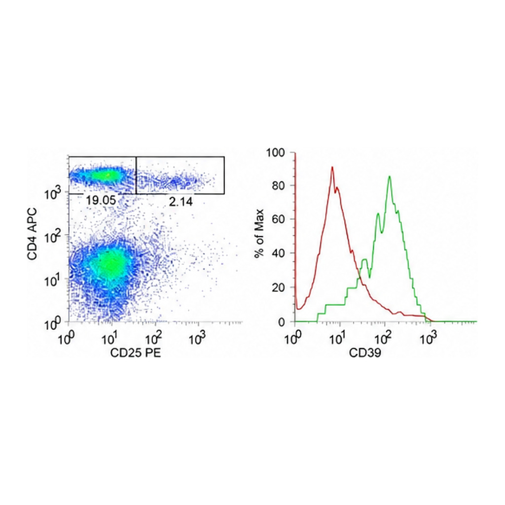 Thermo Fisher Scientific F(ab`)2-Goat anti-Rabbit IgG (H+L) Secondary Antibody, FITC, eBioscience