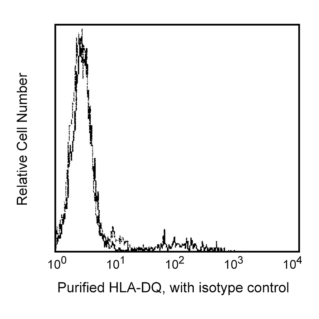 BD Purified Mouse Anti-Human HLA-DQ