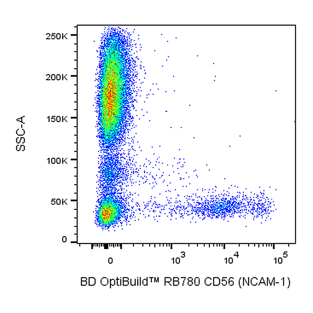 BD RB780 Mouse Anti-Human CD56