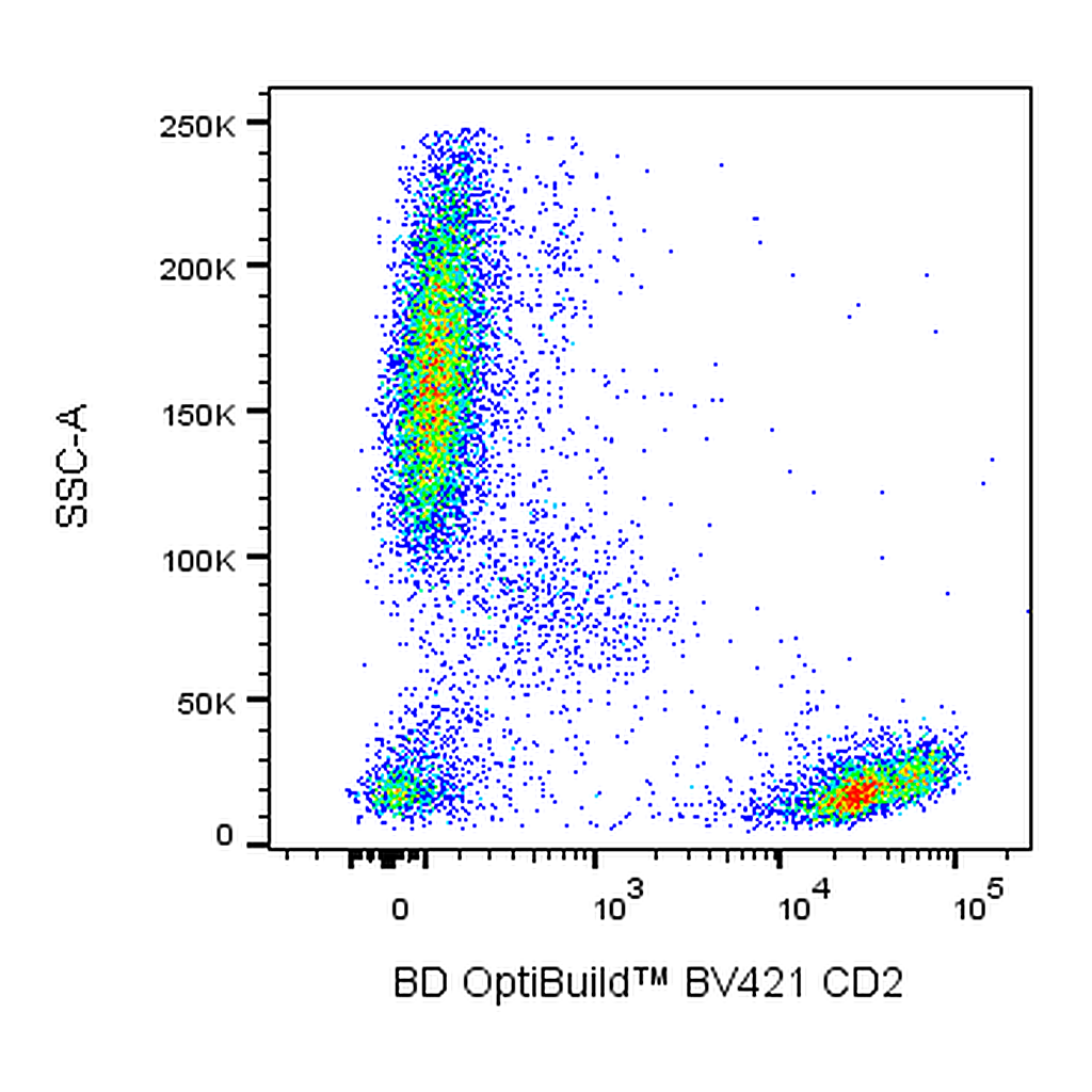 BD BV421 Mouse Anti-Human CD2