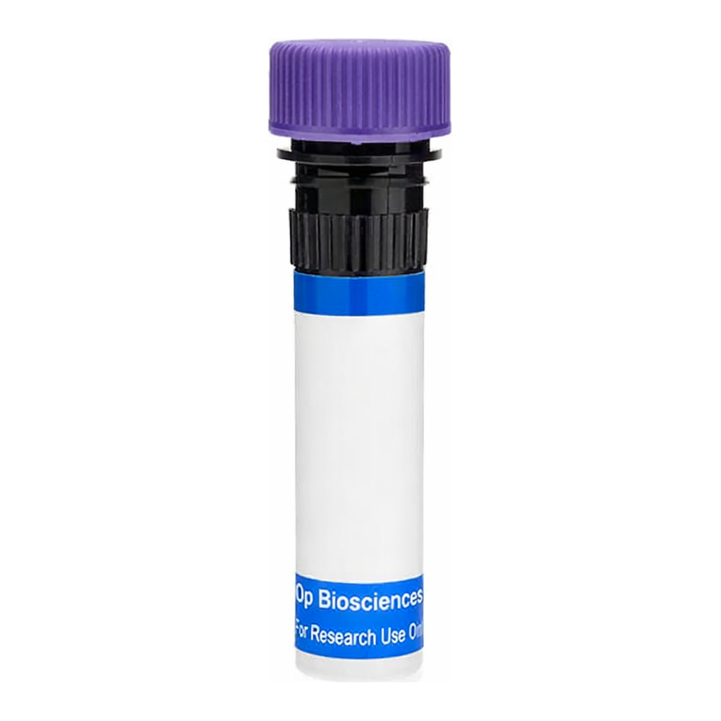 BD RB744 Rat Anti-Mouse CD115 (CSF-1 Receptor)