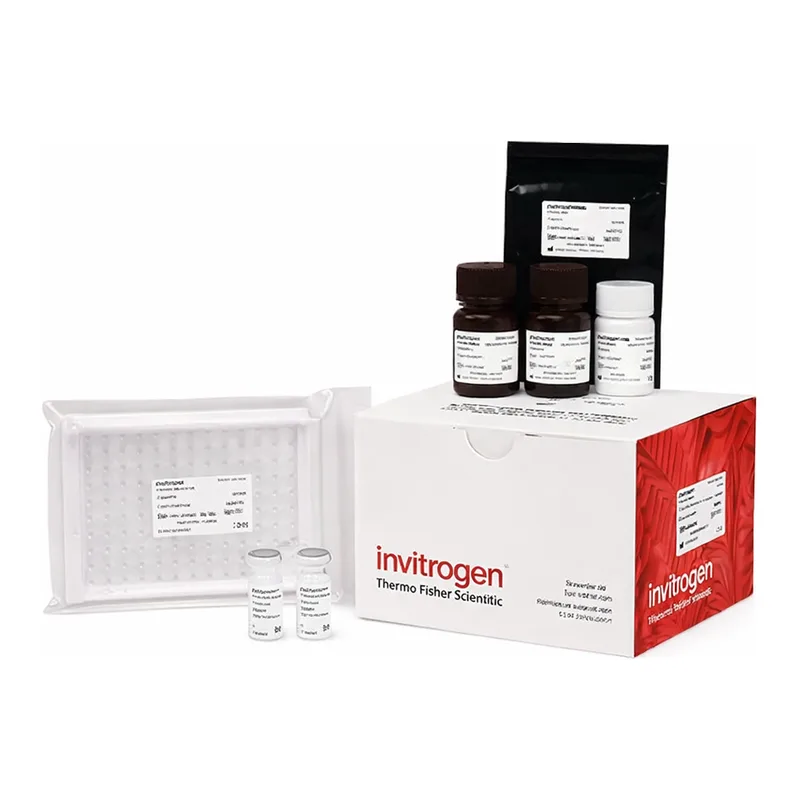 Thermo Fisher Scientific Aspartate Aminotransferase (AST/GOT) Activity Kit