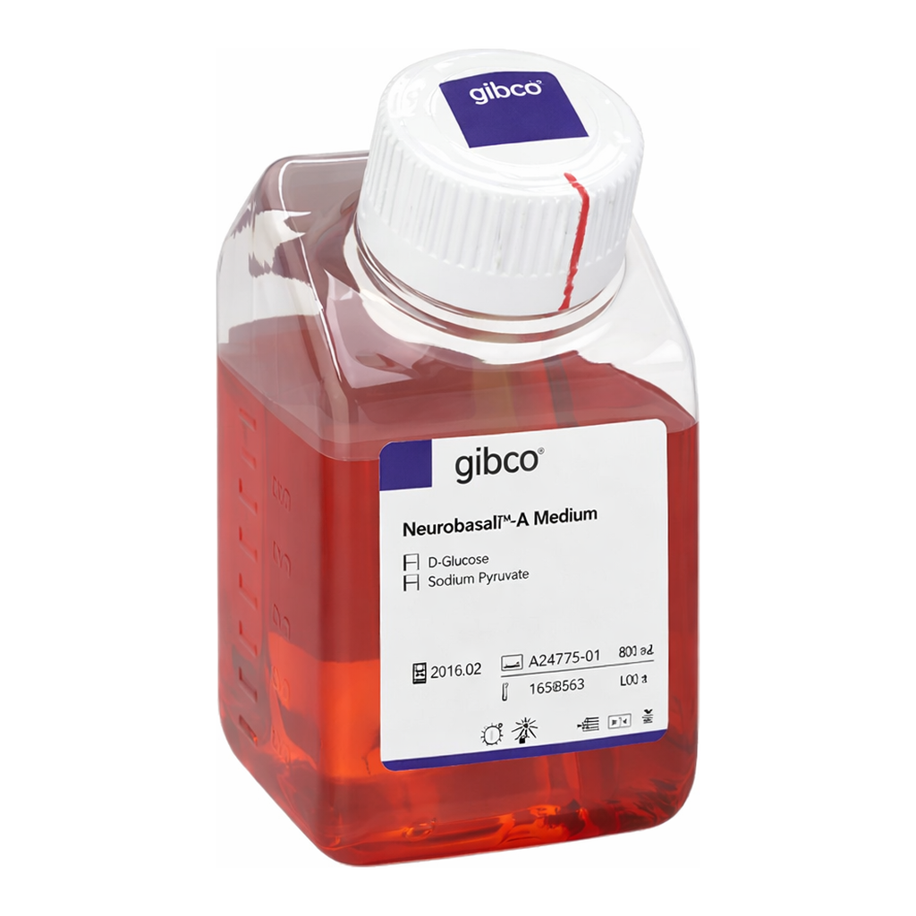 Thermo Fisher Scientific Neurobasal-A Medium, no D-glucose, no sodium pyruvate