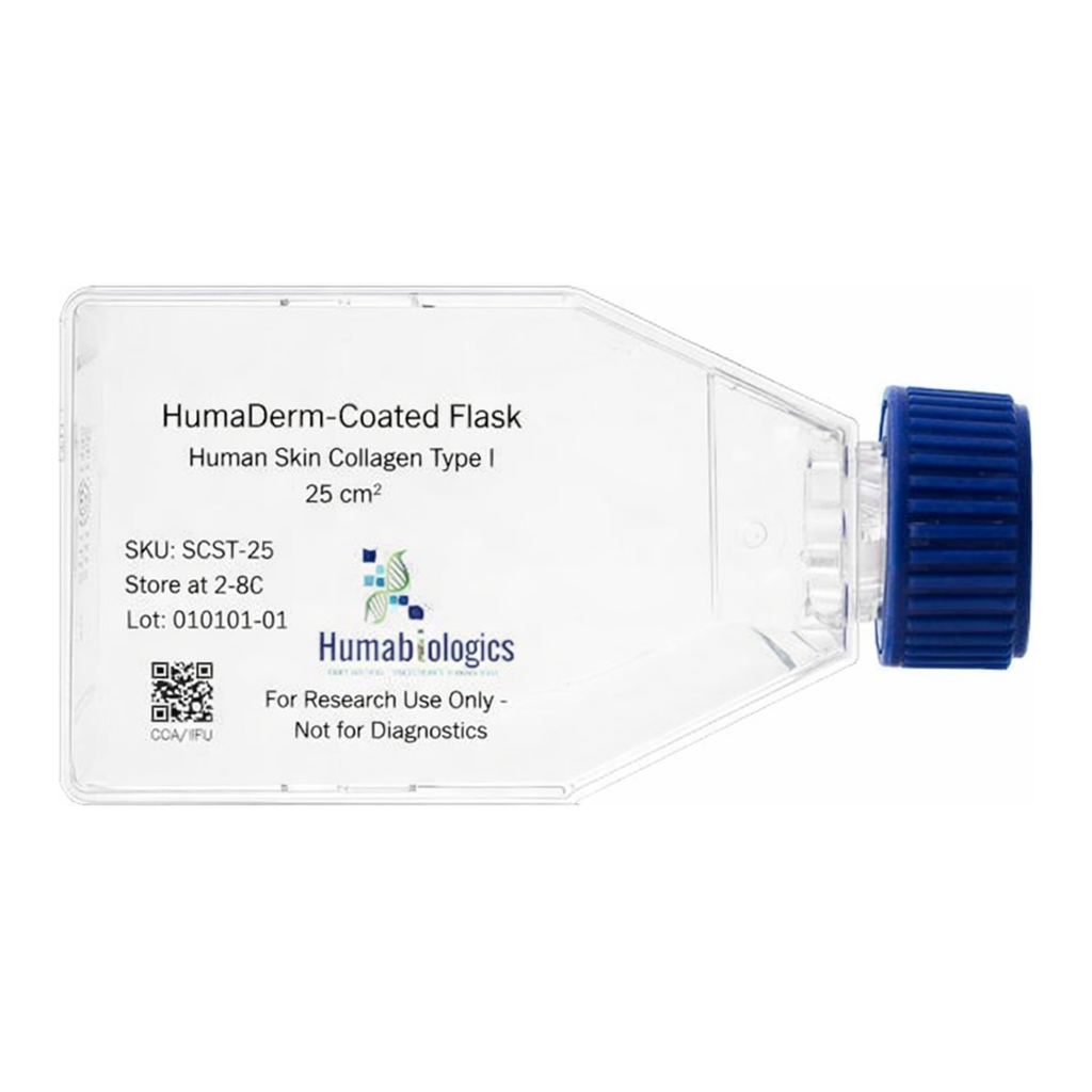 Humabiologics HumaDerm Coated Flasks, Human Skin Collagen Type I, Clear Flat Bottom (SCST)