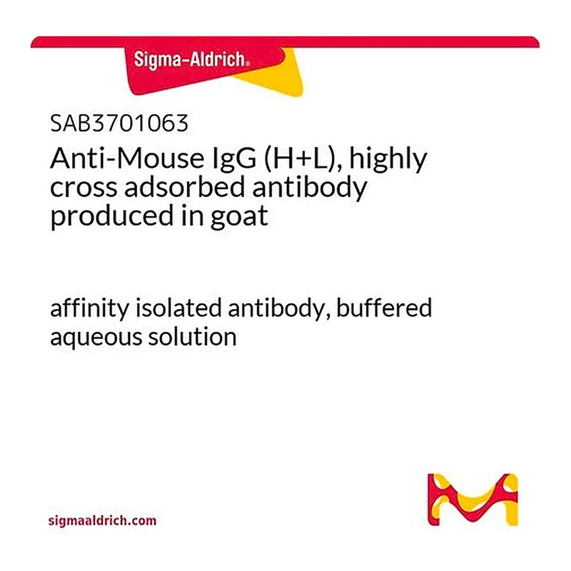 Merck Anti-Mouse IgG (H+L), highly cross adsorbed antibody produced in goat
