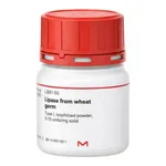 Merck LIPASE FROM WHEAT GERM,TYPE I, LYOPHILI&