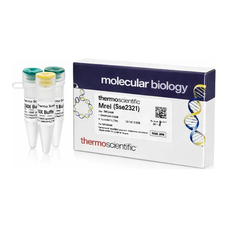 Thermo Fisher Scientific MreI (Sse232I) (10 U/μL)