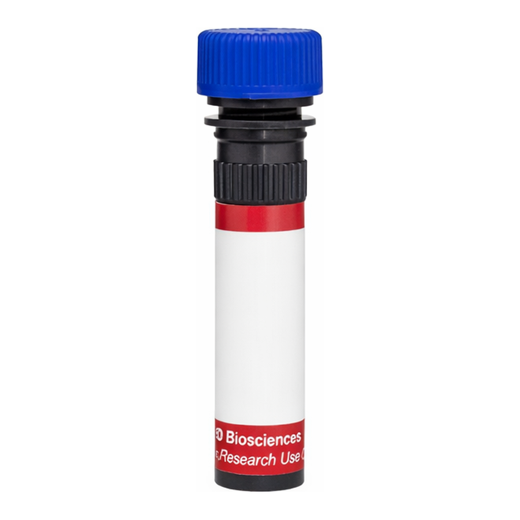BD R718 Mouse Anti-Mouse Vβ 8 T-Cell Receptor