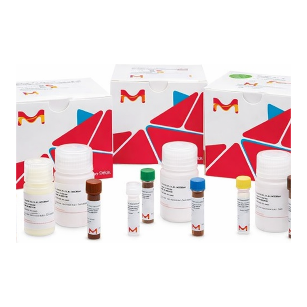 Merck Monoamine Oxidase (MAO) Inhibitor Screening Kit
