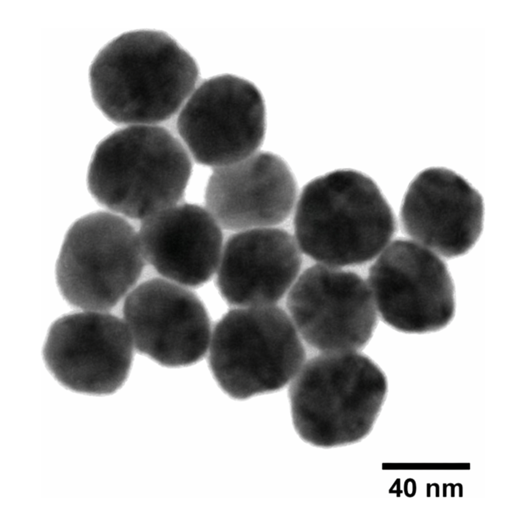 Merck SILVER, DISPERSION, NANOPARTICLES, 40 N&