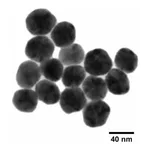 Merck SILVER, DISPERSION, NANOPARTICLES, 40 N&