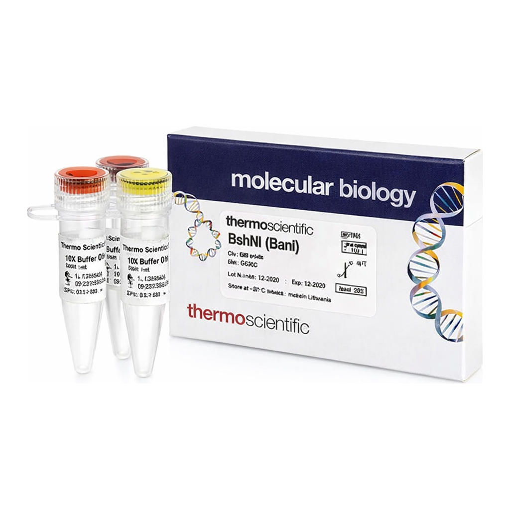 Thermo Fisher Scientific BshNI (BanI) (10 U/&mu;L)