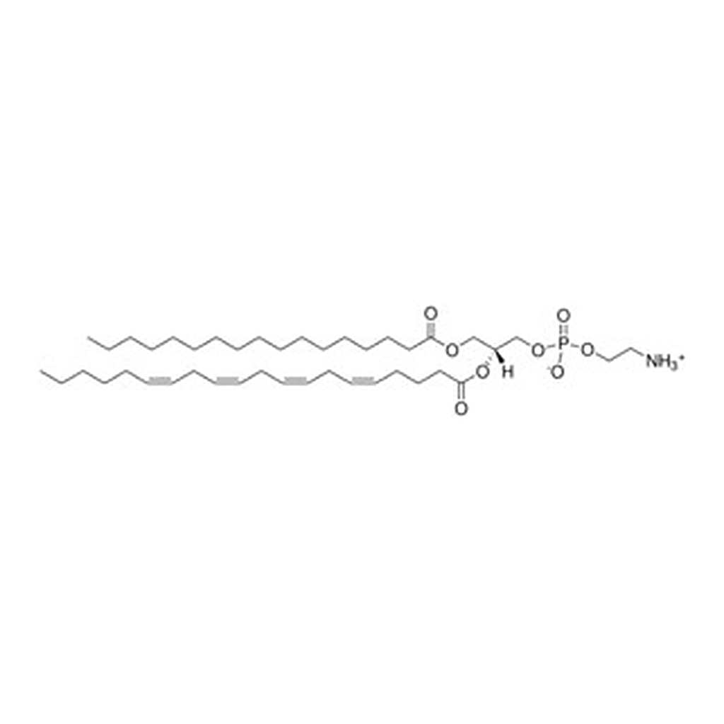 Merck 17:0-20:4 PE