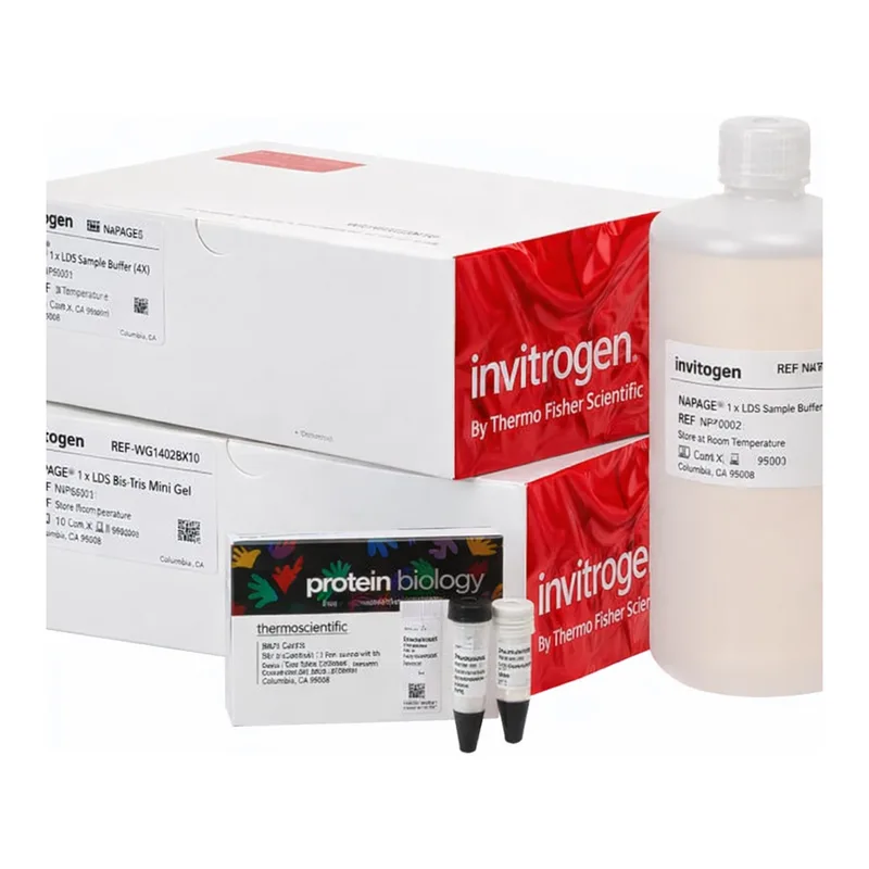 Thermo Fisher Scientific Novex Midi Tris-Glycine Plus Resupply Pack, 4 to 12%, WedgeWell format, 20-well, 1 Kit