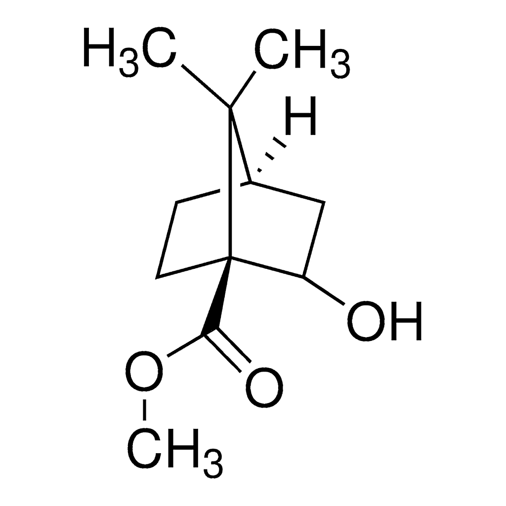 Merck Methyl 2-hydroxy-7,7-dimethylbicyclo[2.2.1]heptane-1-carboxylate