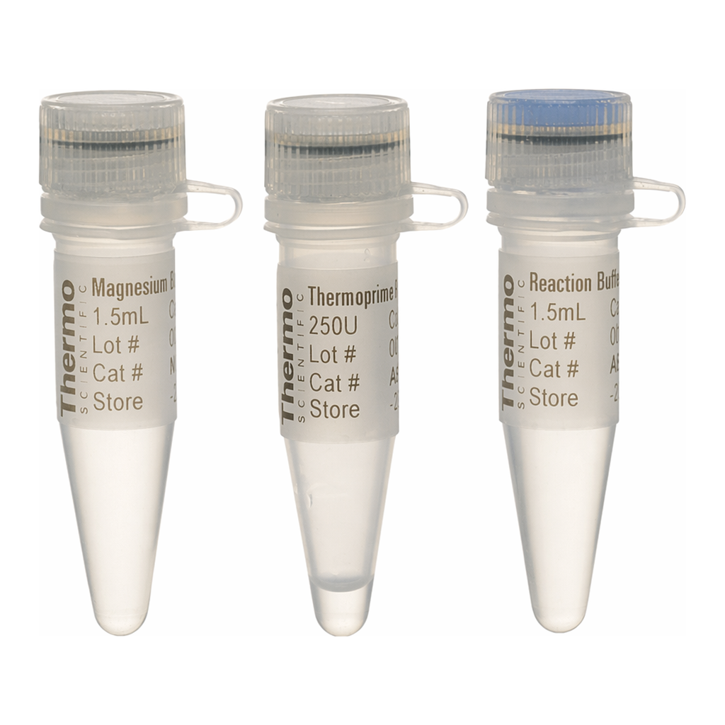 Thermo Fisher Scientific ThermoPrime Taq DNA Polymerase, with 10X buffer and separate vial of 25 mM MgCl2