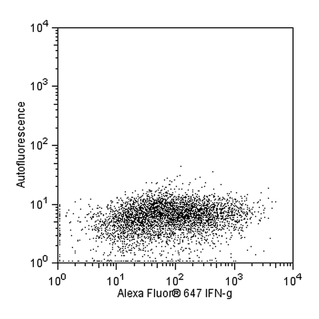 BD Alexa Fluor® 647 Mouse Anti-Rat IFN-γ