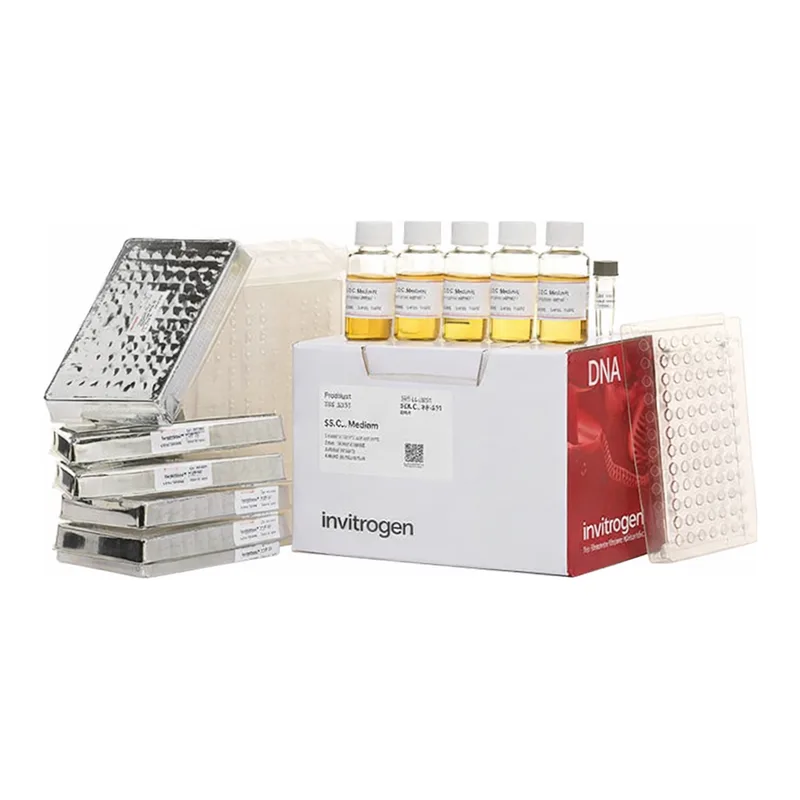 Thermo Fisher Scientific MultiShot TOP10 Chemically Competent E. coli