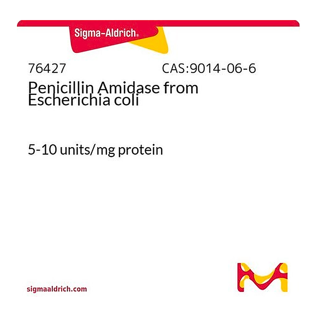 Merck Penicillin Amidase from Escherichia coli
