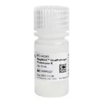 Thermo Fisher Scientific MagMAX Viral/Pathogen Proteinase K