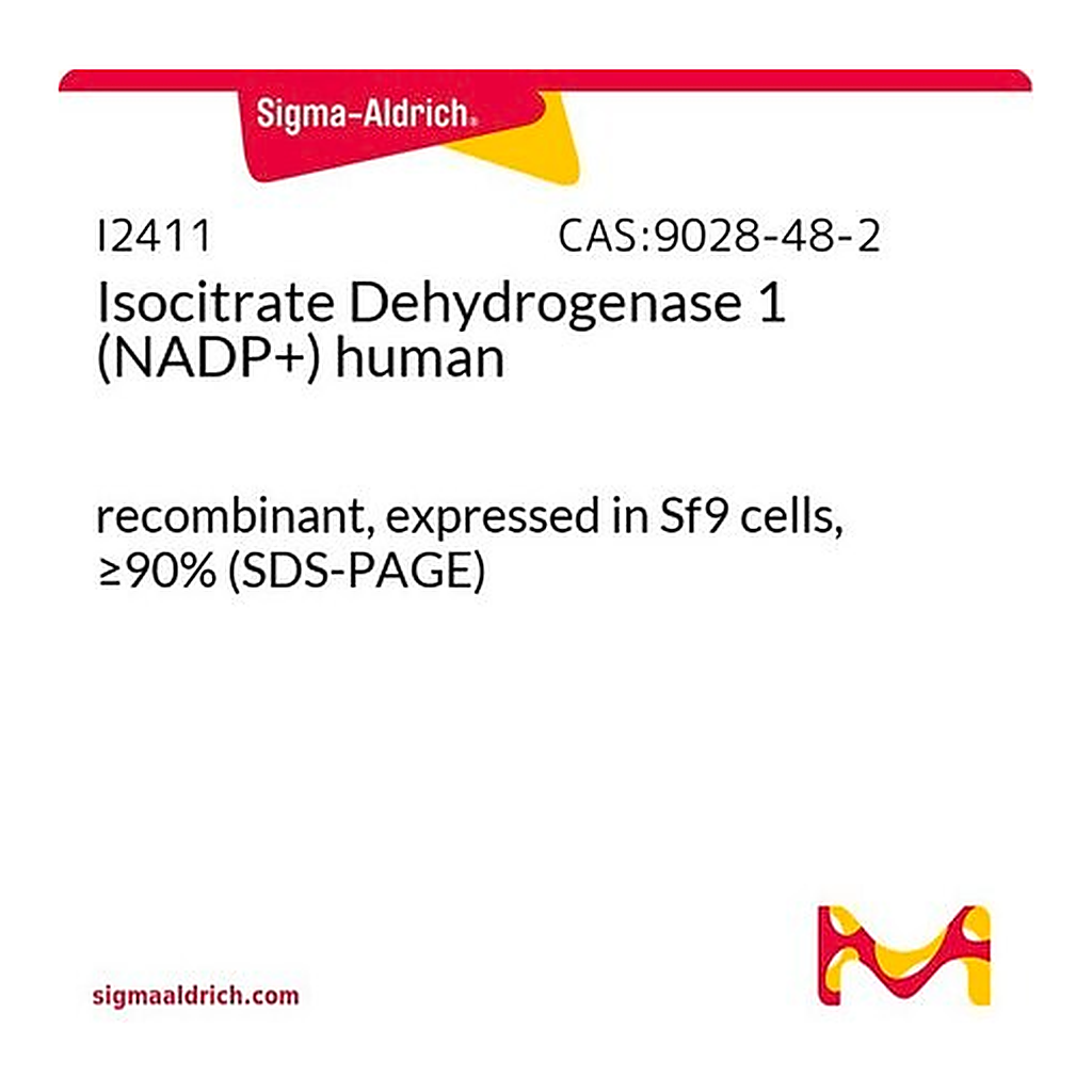 Merck Isocitrate Dehydrogenase 1 (NADP+) human