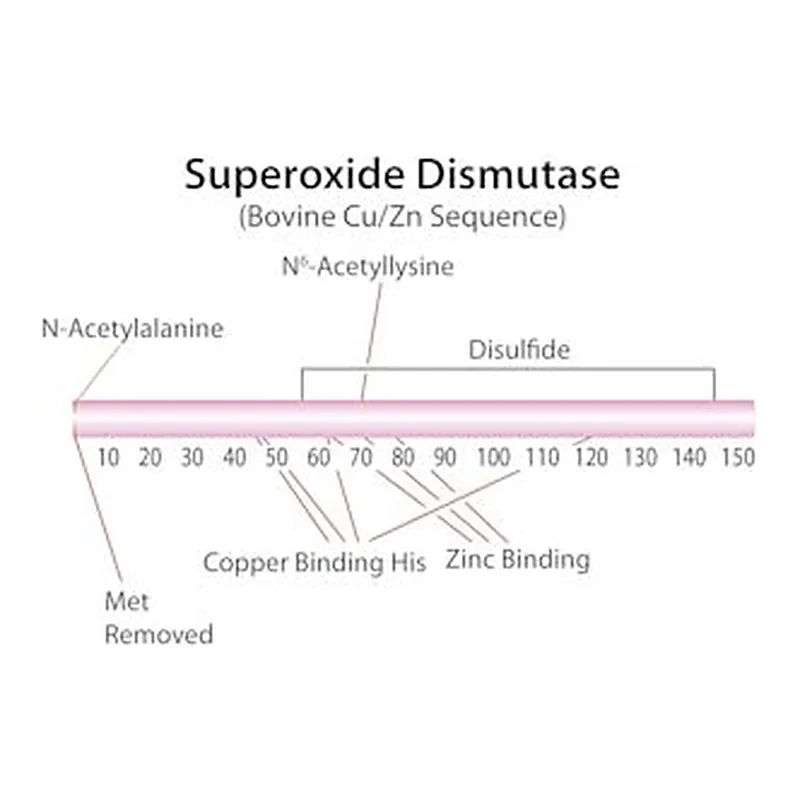 Merck SUPEROXIDE DISMUTASE, BOVINE