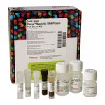 Thermo Fisher Scientific Pierce Magnetic RNA-Protein Pull-Down Kit
