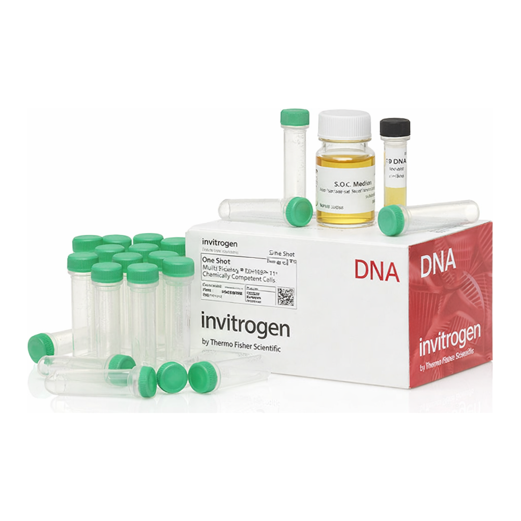 Thermo Fisher Scientific One Shot MAX Efficiency DH10B T1 Phage-Resistant Cells