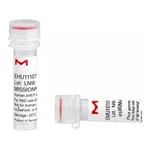 Merck MISSION(R) esiRNA