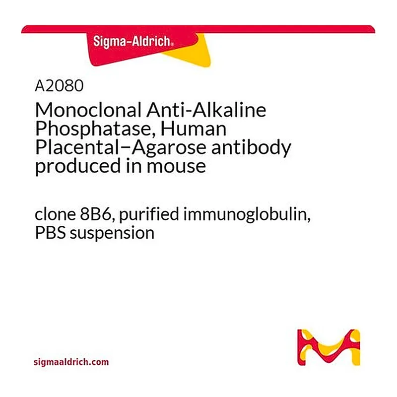 Merck Monoclonal Anti-Alkaline Phosphatase, Human Placental-Agarose antibody produced in mouse