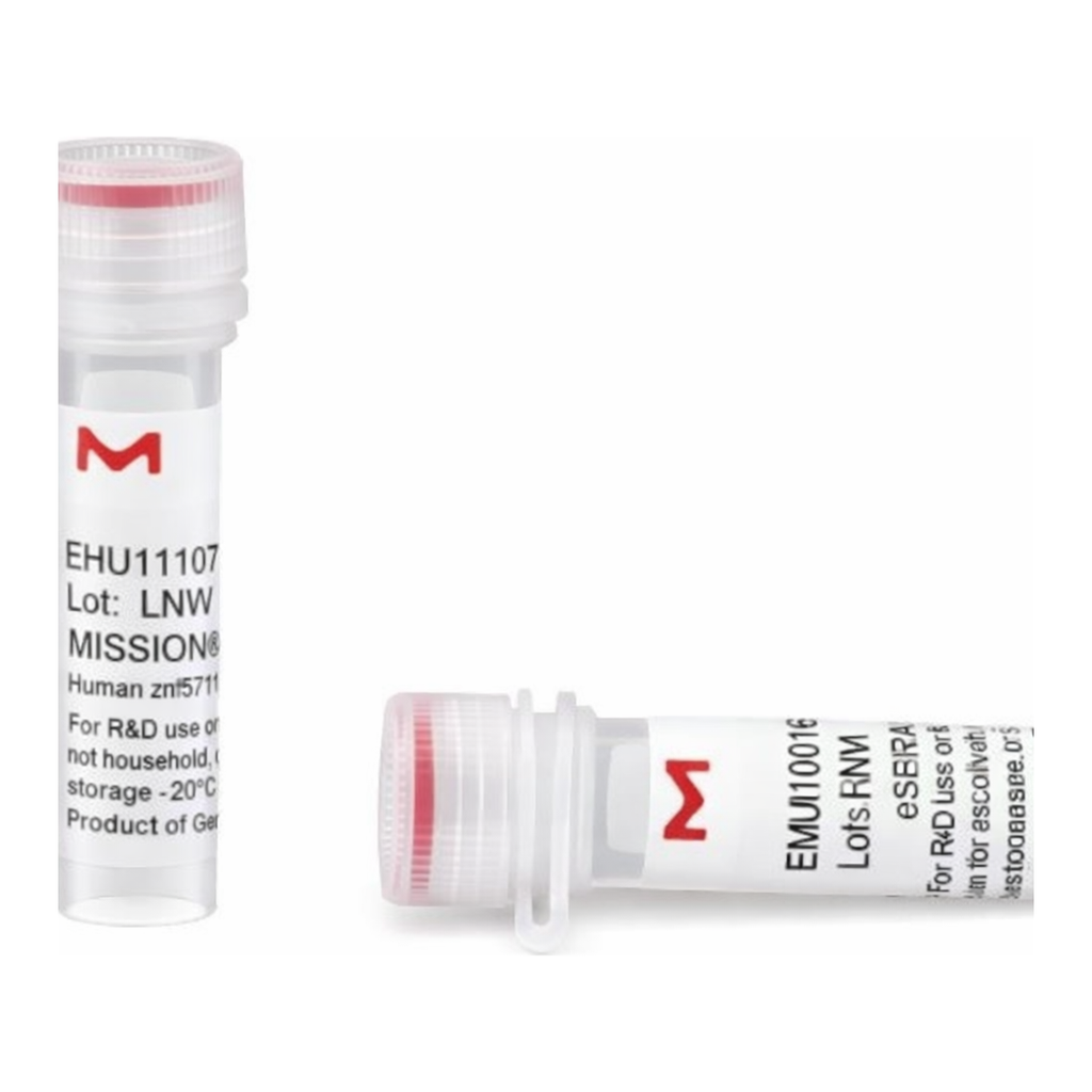 Merck MISSION(R) esiRNA
