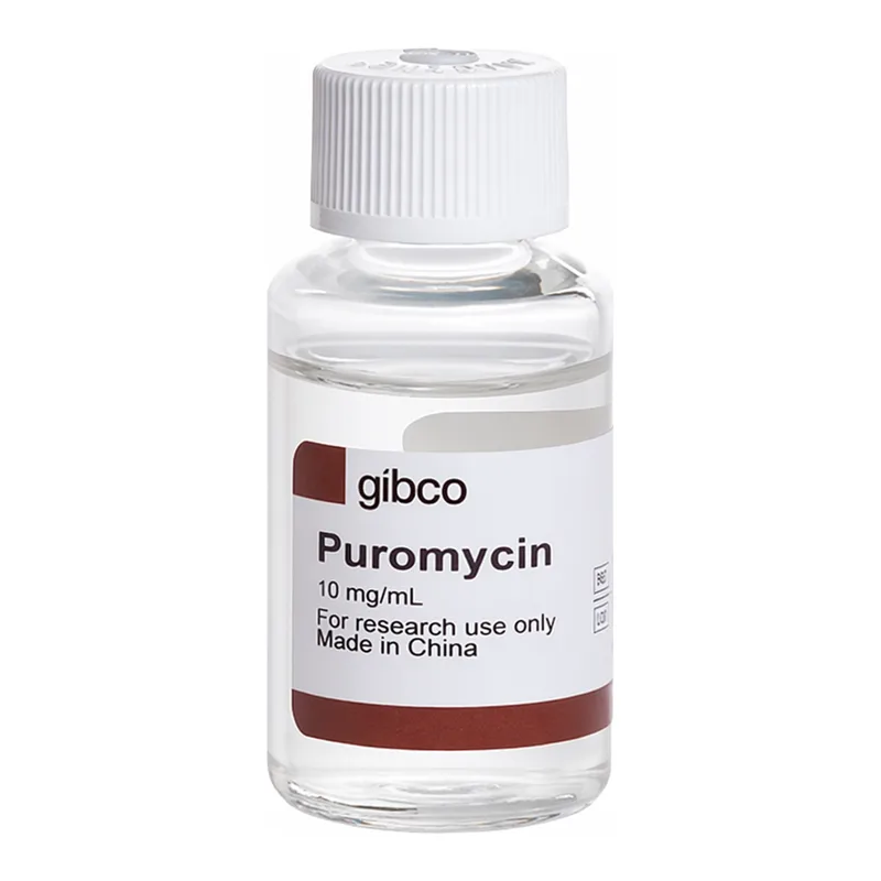 Thermo Fisher Scientific Puromycin Dihydrochloride, 20 mL