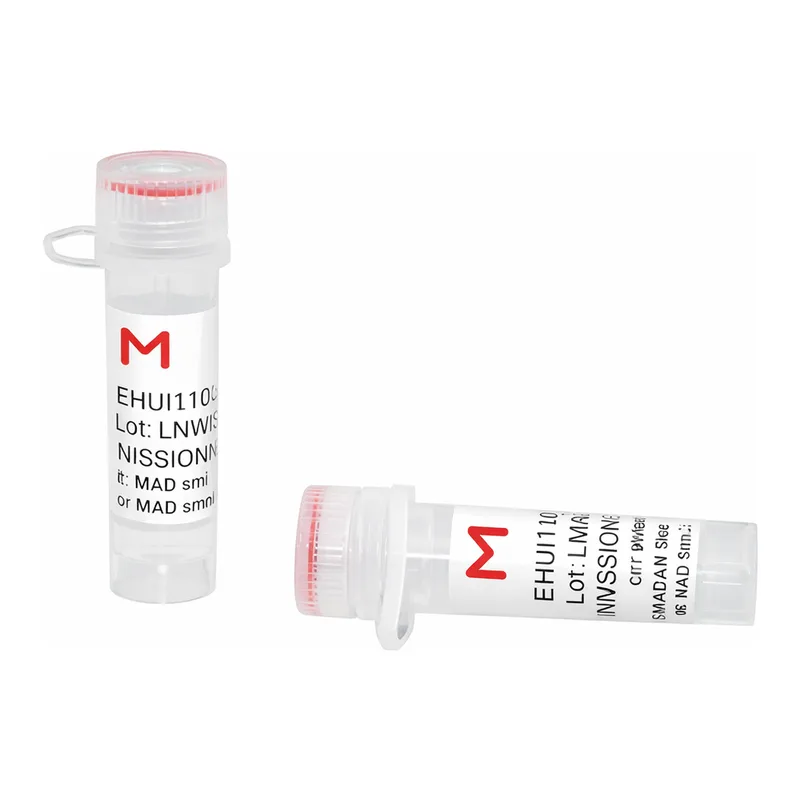 Merck ESIRNA HUMAN BCL2