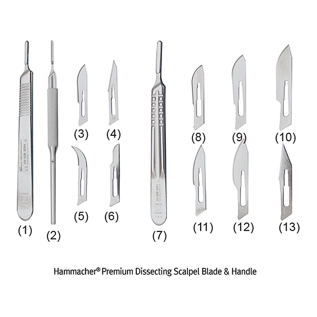 Daihan Science Hammacher Premium Dissecting Scalpel Blade & Handle, for Lab<br>Excellent for C