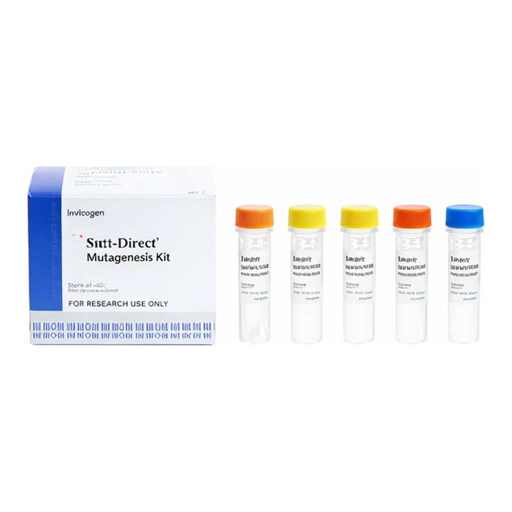 Intron Muta-Direct™ Site Directed Mutagenesis Kit