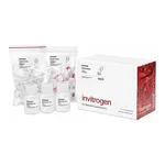 Thermo Fisher Scientific PureLink PCR Purification Kit, 50 preps
